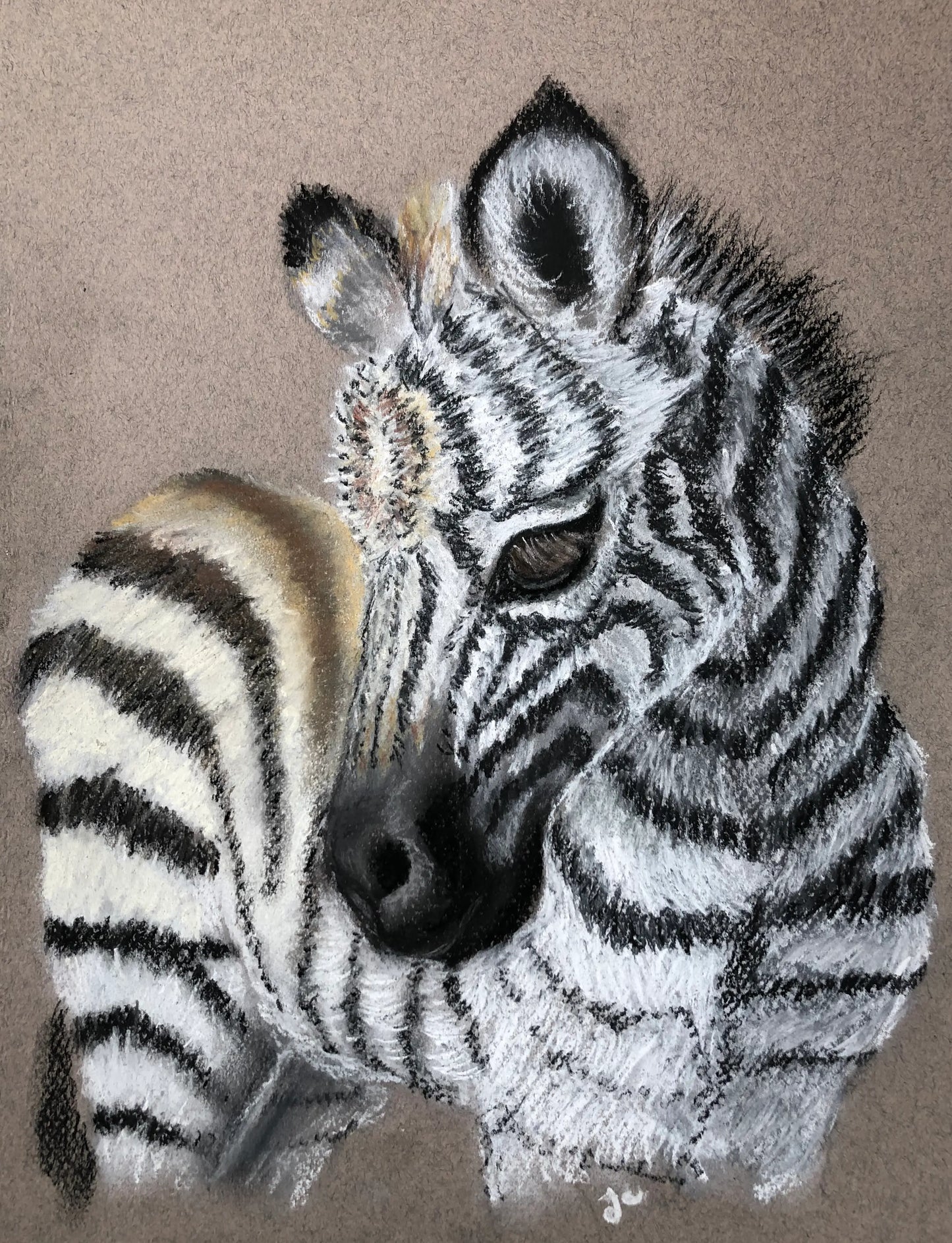 Portrait animalier personnalisé